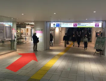 ルート画像