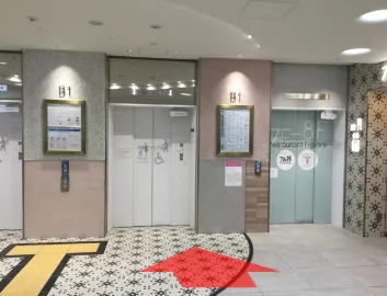 ルート画像