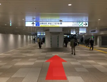 ルート画像
